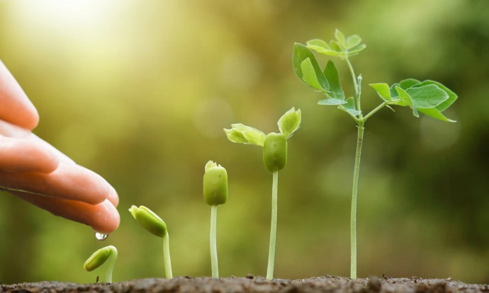 Business growth